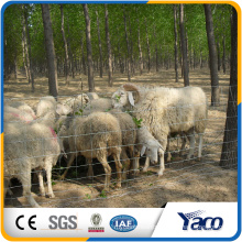 Field Fence against boars and wild deers made in china (ISO9001 factory)